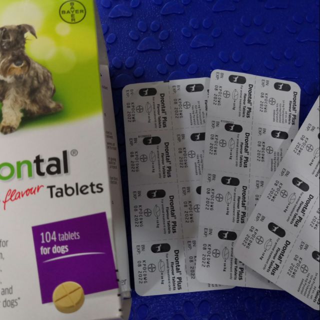 drontal plus giardia treatment