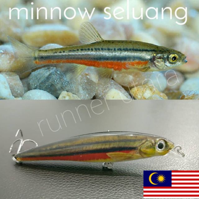 Gewang Lure Fishing Casting Siakap Minnow Ikan Anak Seluang Joran Bait Hook Rapala Wobbler Umpan Toman Kail Jig Pancing Shopee Malaysia