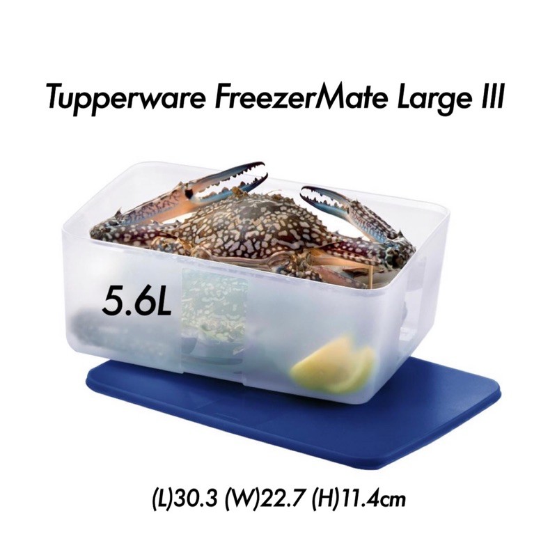 Tupperware FreezerMate Large III 5.6L(1pc)-Sheer Tokyo Blue