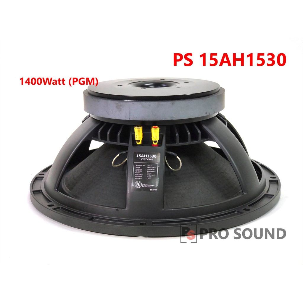 speaker 15 woofer