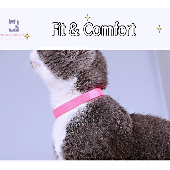 Buy Pet Cat Anti Flea Prevention Pink u0026 Grey Collar Ubat Kutu 