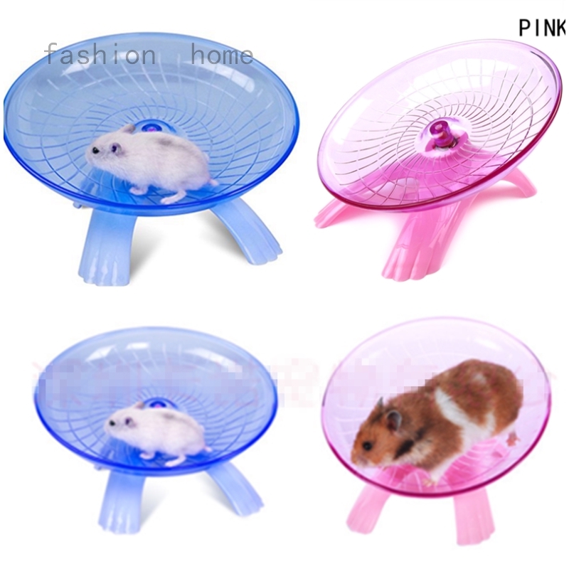 guinea pig running wheel