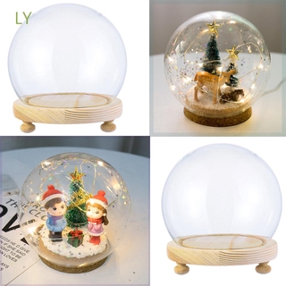 LY Glass Vase Jar Spherical Transparent Bottle Terrarium Glass cloche