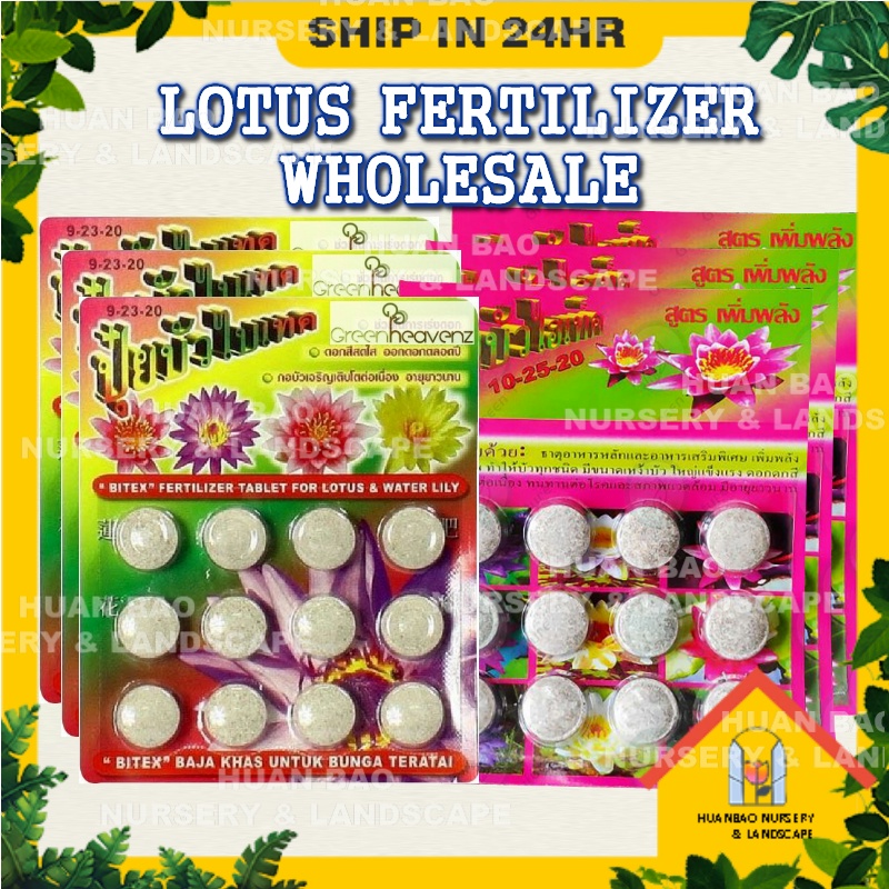 Baja Lotus Thailand Fertilizer For Lotus & Water Lily 12 Tablets
