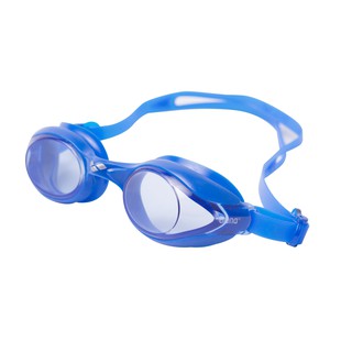arena sprint goggles