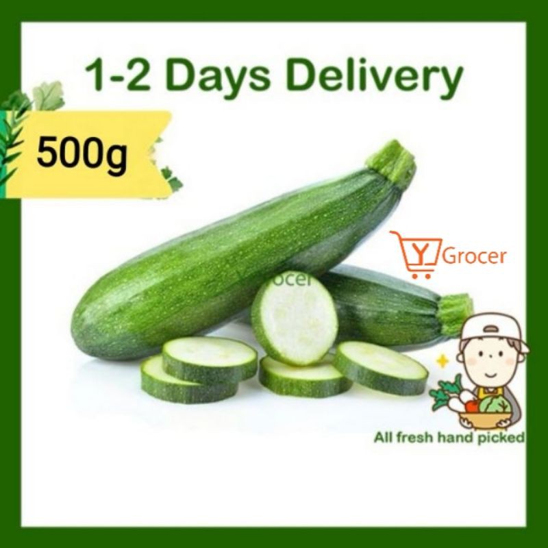 Green Zucchini Zukini Hijau 绿西葫芦 500g Shopee Malaysia