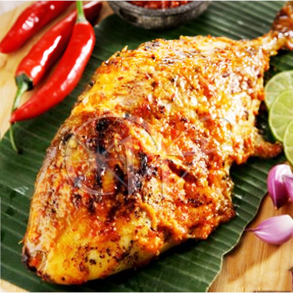 100 Segar Ikan Ayam Ikan Barat Leather Jacket Fish 100 No Chemical Seafood Local Seafood Fresh Fish From Sea Shopee Malaysia