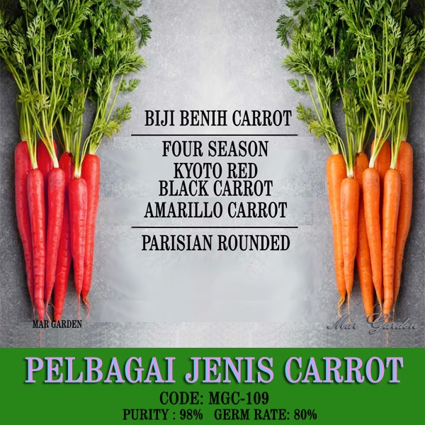 300-350 BIJI Benih Lobak Merah CARROT Seeds LOWLAND TANAH RENDAH