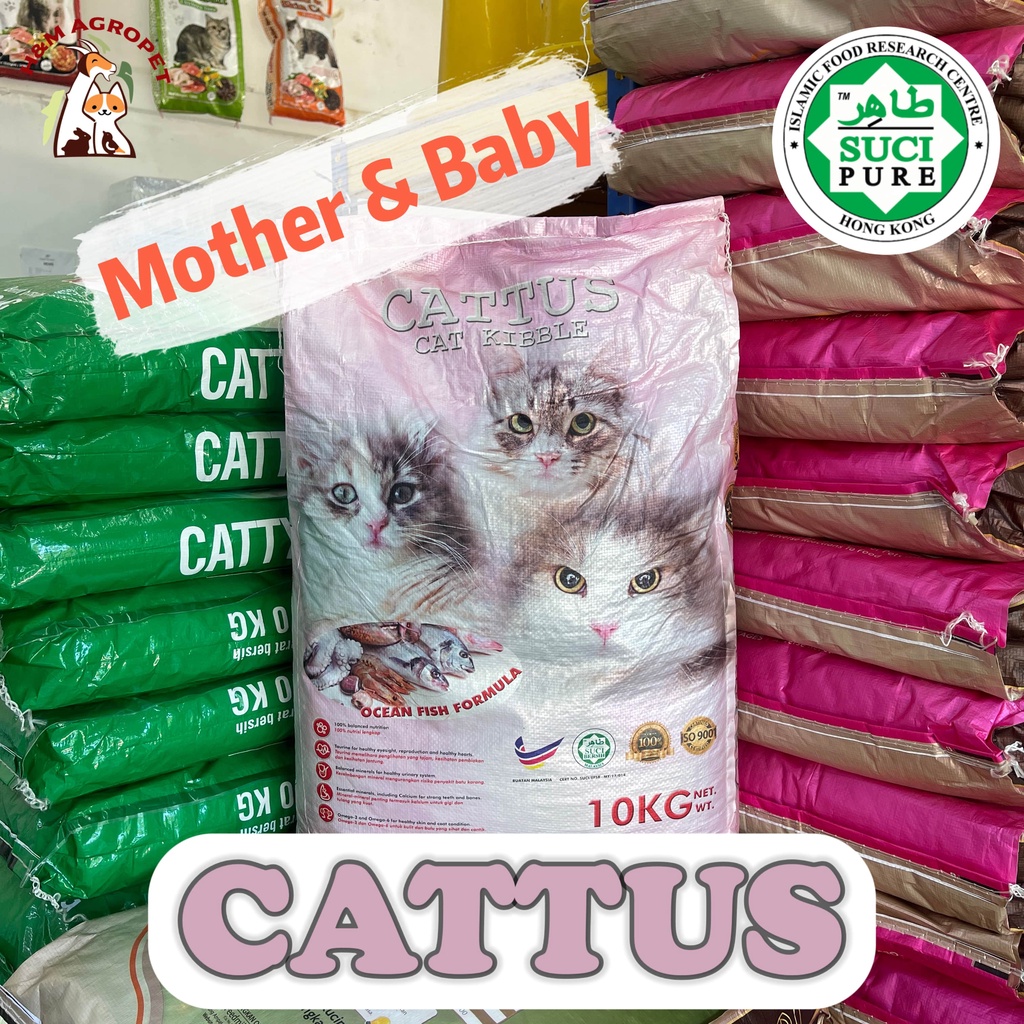 10KG CATTUS Mother and baby Cat Food Ocean Fish with Milk Flavor
