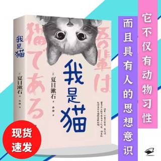 正版现货】皮囊（350万册纪念版，刘德华、韩寒、白岩松推荐）ISBN 