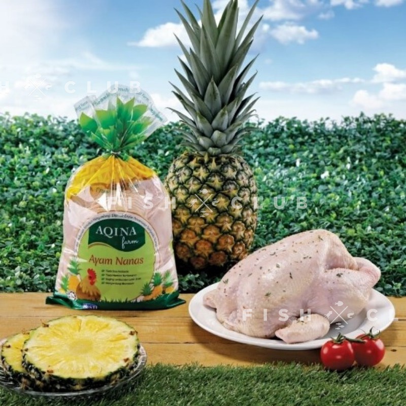 Aqina Pineapple Chicken Ayam Nanas  400 700g Shopee 