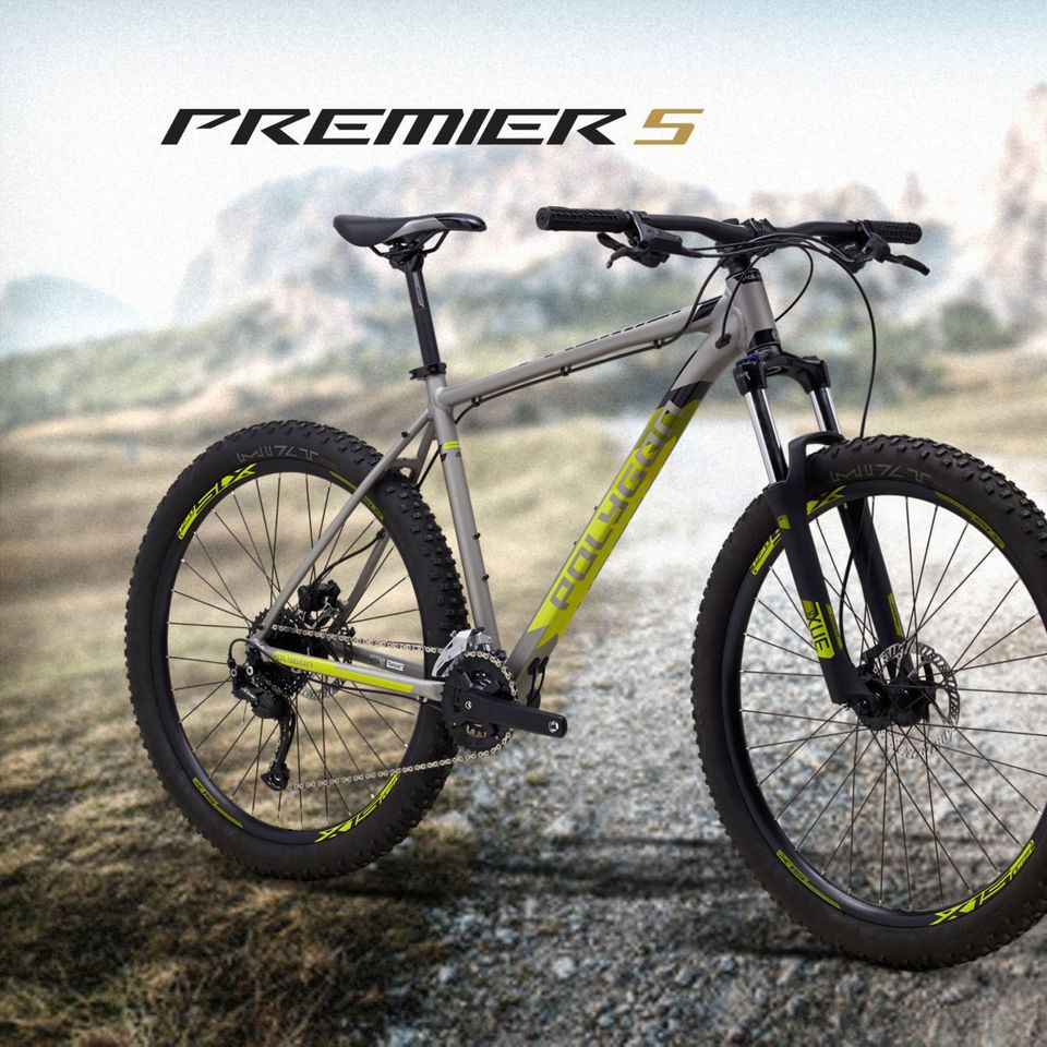 polygon mountain bike