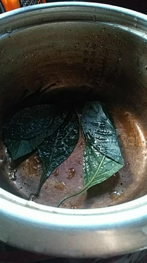 Daun Batu Jin Ubat Batu Karang Dan Air Kencing Kotor Pokok Pecah Beling Shopee Malaysia