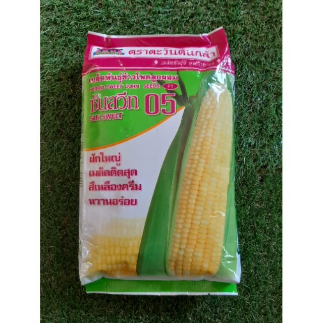  BIJI  BENIH JAGUNG  MANIS HYBRID BRAND SUN SEEDLING harga 