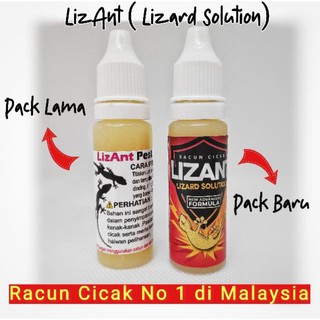 [viral] UBAT CICAK YANG MAMPU MENGHAPUSKAN CICAK DALAM 