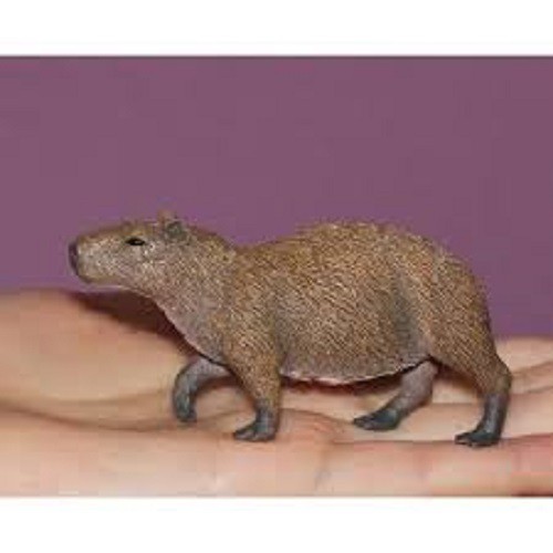 CollectA Capybara