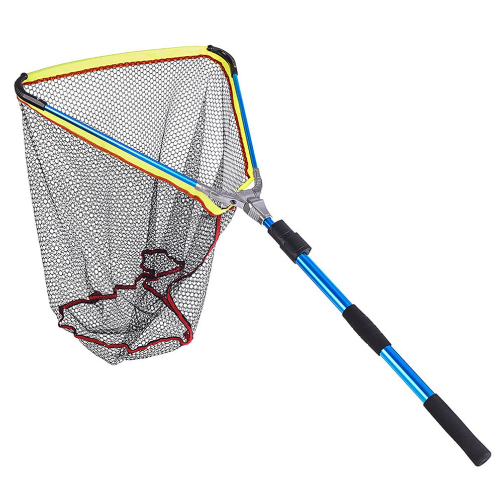 fishing net with extendable handle