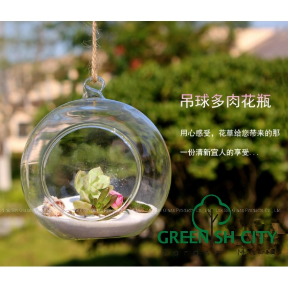 GNC - Micro Landscape Ecological Bottle Hanging Glass Pot Succulent Plant 微景观生态瓶 悬挂玻璃花瓶 多肉植物花瓶