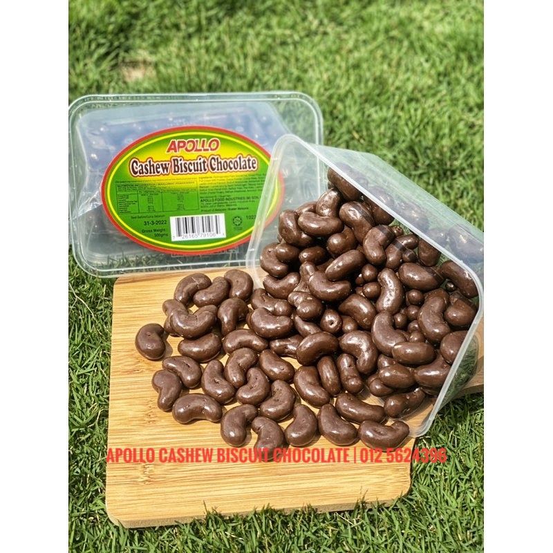 Buy Apollo Cashew Biscuit Chocolate 500g Seetracker Malaysia