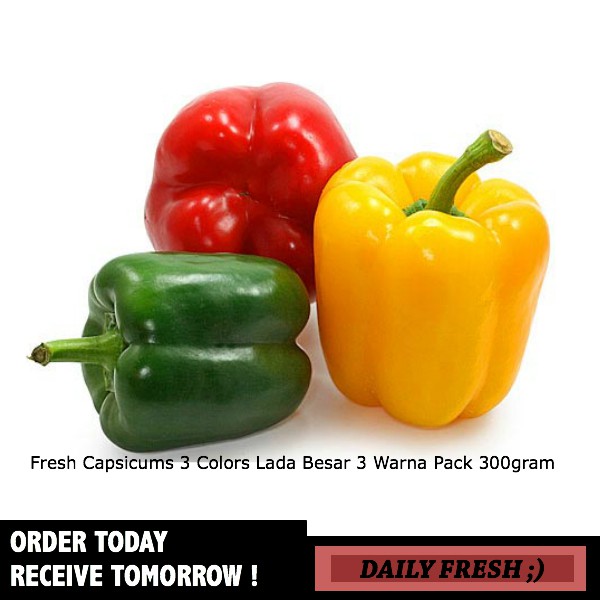 Fresh Capsicums 3 Colors Lada Besar 3 Warna Pack 300gram Fresh Capsicums 3 Colors Lada Besar 3 Warna Pack 300gram