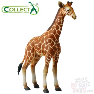 African Leopard CollectA NEW 88866 Wildlife Model Breyer Toy Figurine
