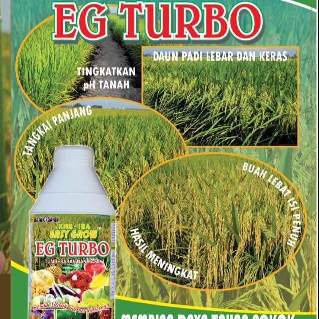 Baja Padi Eg Turbo Terlaris Shopee Malaysia