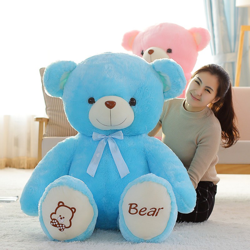 korean bear plush