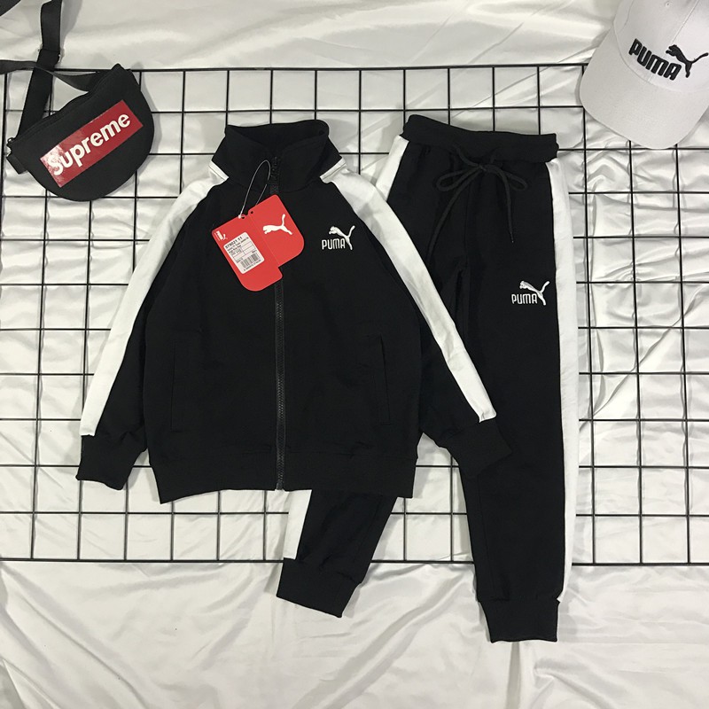 sport suit puma