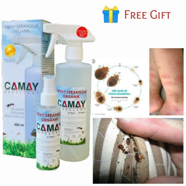 Ubat Penghapus Pepijat Super Effectif Hapus Pepijat Dan Hama Tilam Spray Tilam Hapus Pijat Ubat Pijat Shopee Malaysia