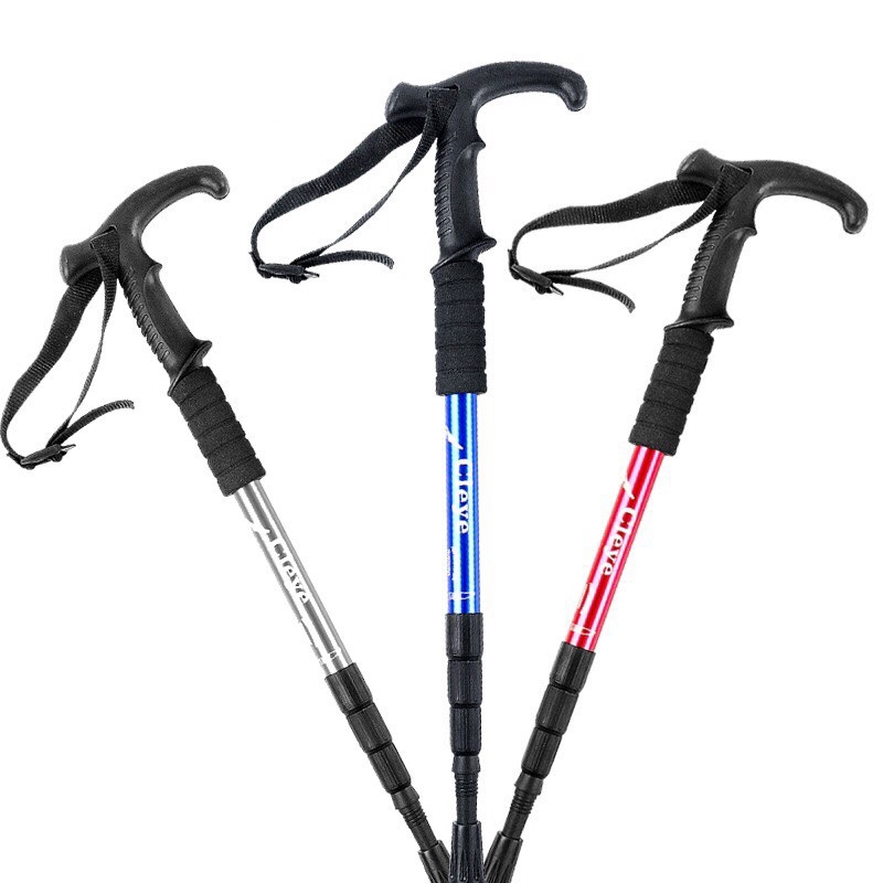 shock absorbing trekking pole