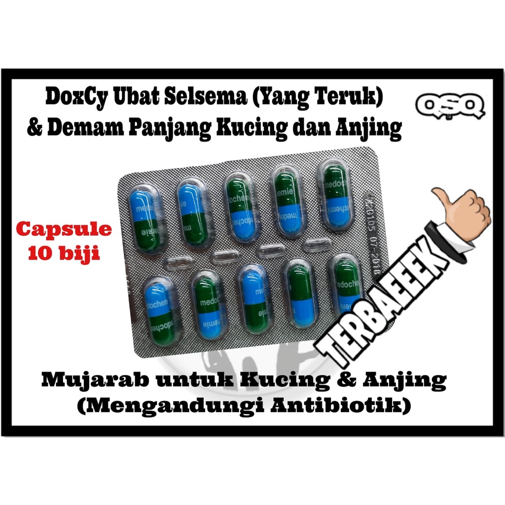 Ubat Demam Selsema (Teruk) Kucing & Anjing (Tablet & kapsul) | Shopee