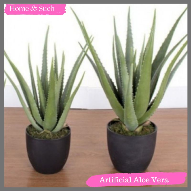 Artificial Aloe Vera Plant Pokok Aloe Vera Hiasan Shopee Malaysia