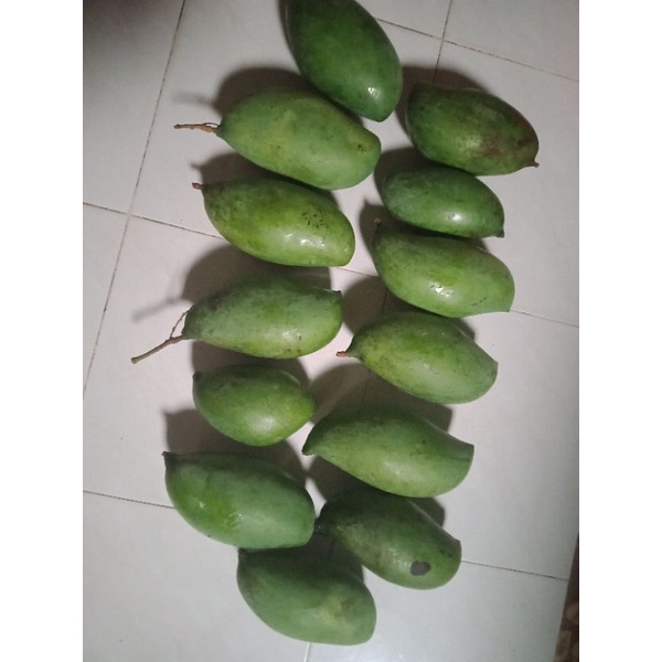 buah pelam rapuh | mangga muda (stok terhad) | Shopee Malaysia
