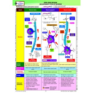 Riang Belajar KSSM Biologi Tingkatan 4 (Buku Latihan 