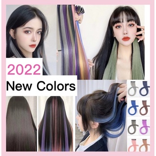 【Ready Stock@KL】High Quality Color Wig Clip Hair extension Fake Hair 挂耳染假发片