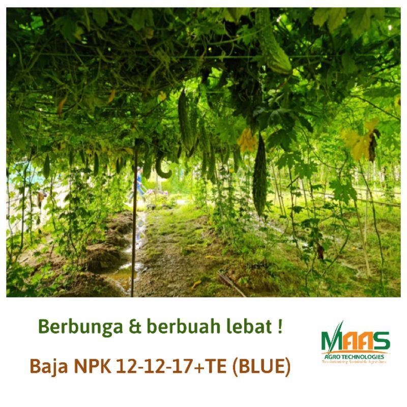 100 % IMPORTED FROM BELGIUM Baja Bunga u0026 Buah NPK 12-12-17+TE 