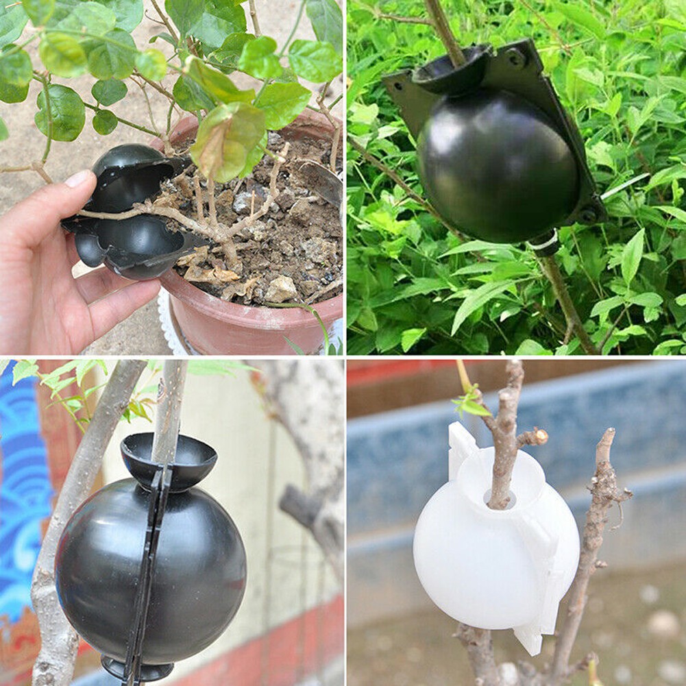 3.14 Reusable Plant Propagation Air-Layering Pod M Damage-Free High-Efficiency Grafting Box for Garden Growing Breeding TWSOUL 10 PCS Rooting Device Ball 