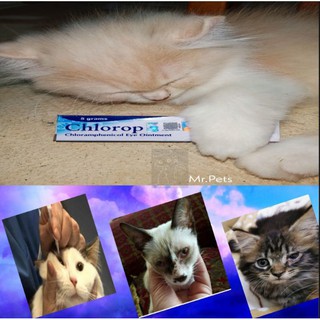 Mr Pets Online Shop Shopee Malaysia
