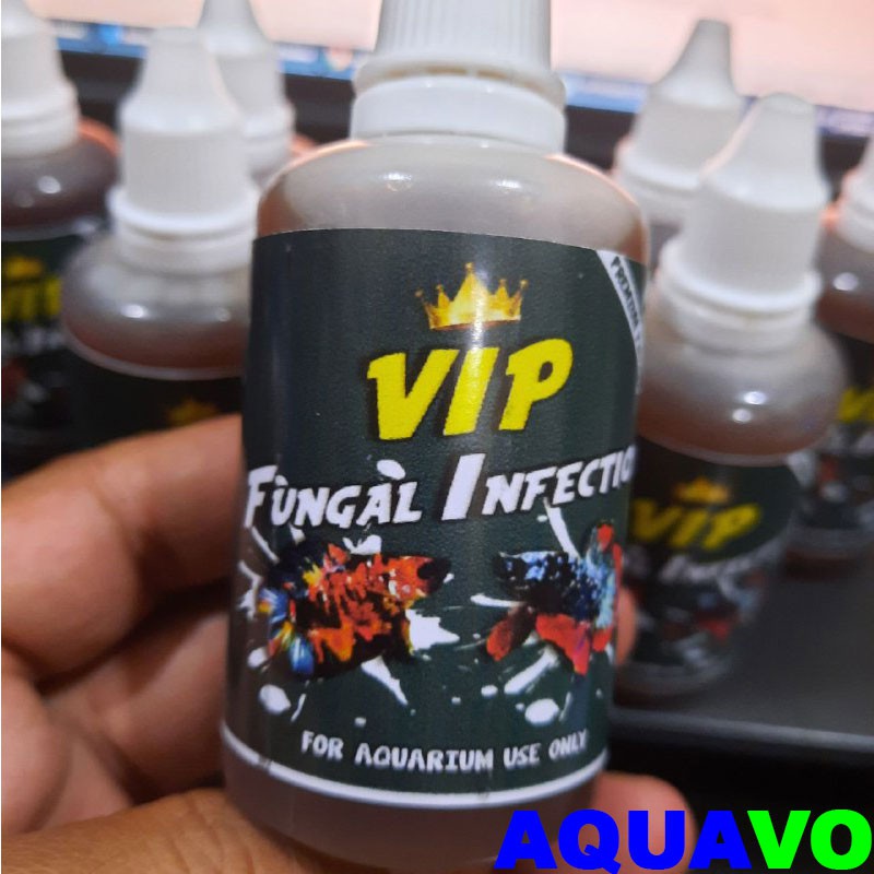 VIP FUNGAL INFECTION BY MFA 