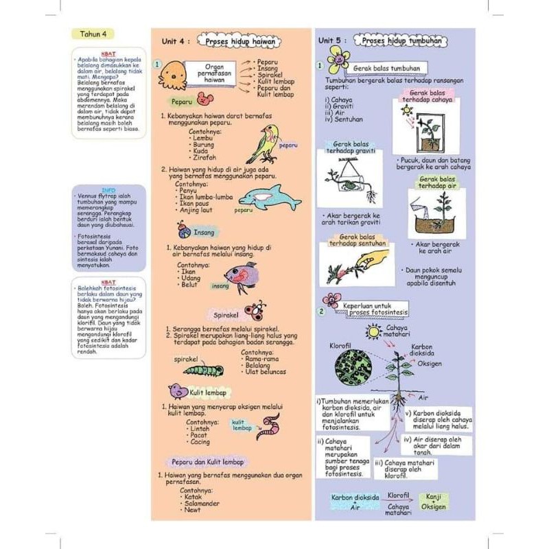 Jom Bijak Sains Tahun 1 6 Free Nota Poket Kssr Tahun 3 4 L Buku Jom Bijak Sains L Buku Nota Sains L Primary School L Shopee Malaysia