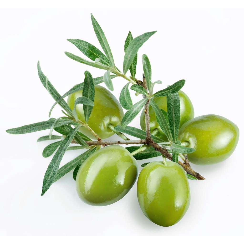 橄榄与菜叶碰撞出的醇香榄菜，不多吃几碗饭怎么对得起它 - 知乎