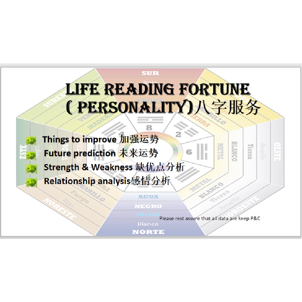 Life Reading Fortune ( Personality)八字服务