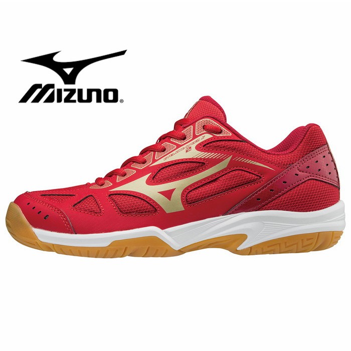 mizuno speed
