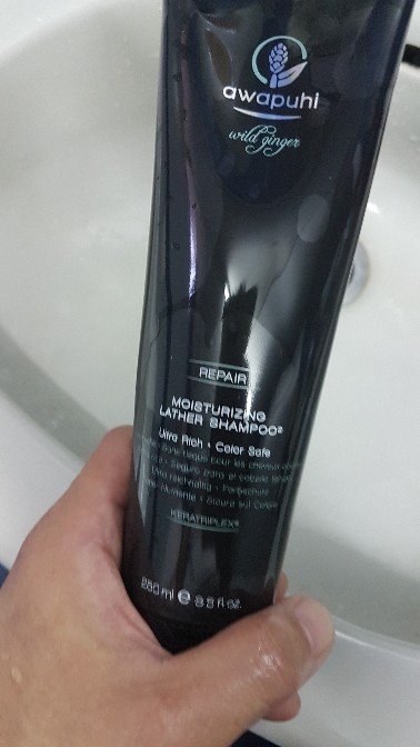 Paul Mitchell Awapuhi Wild Ginger Mirrorsmooth Shampoo High Gloss Primer Shopee Malaysia