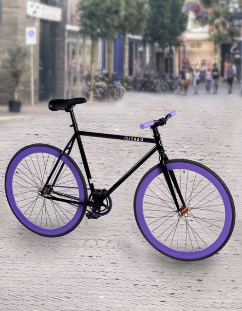 700c rakelo fixed gear bike