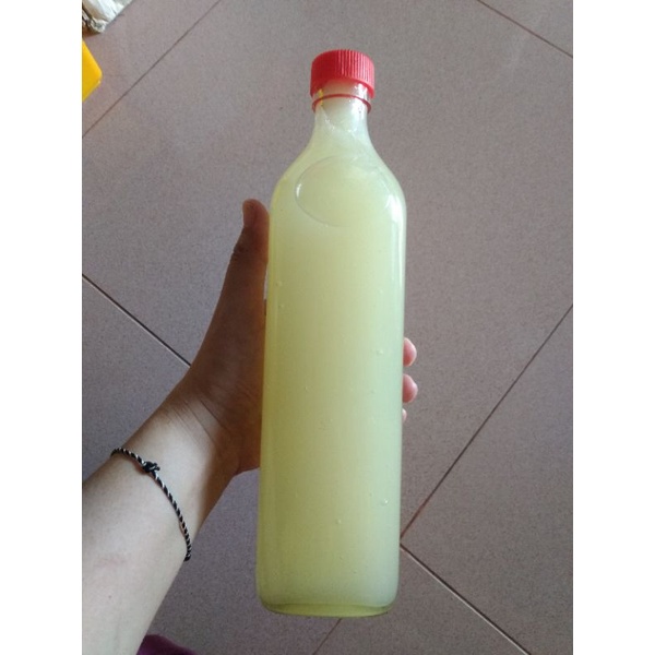蜂皇浆一支1000ml，Royal jelly 1000ml,深芭蜜糖-蜂皇浆