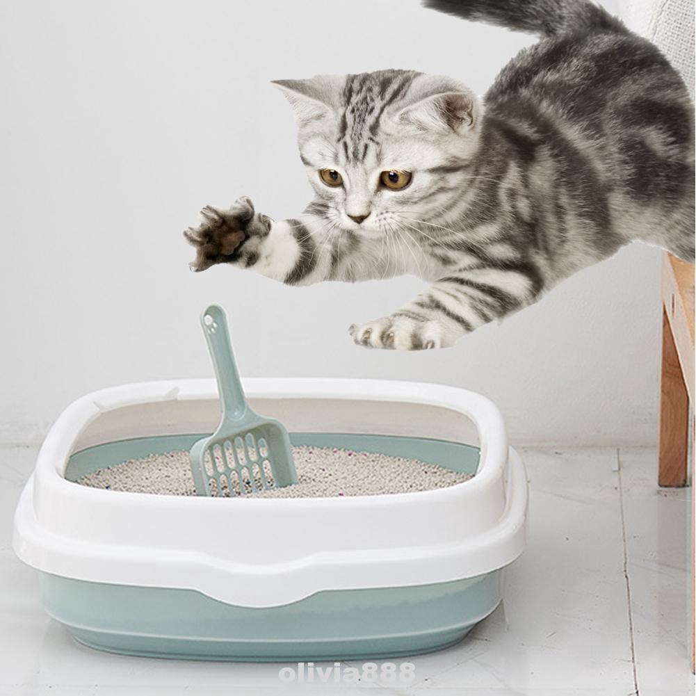 How to get a cat to use litter box