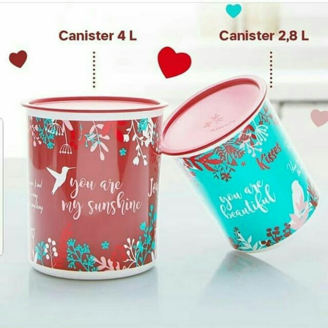 🔥🔥LIMITED OFFER🔥🔥TUPPERWARE Mother's Canister set of 2 (4L & 2.8L)
