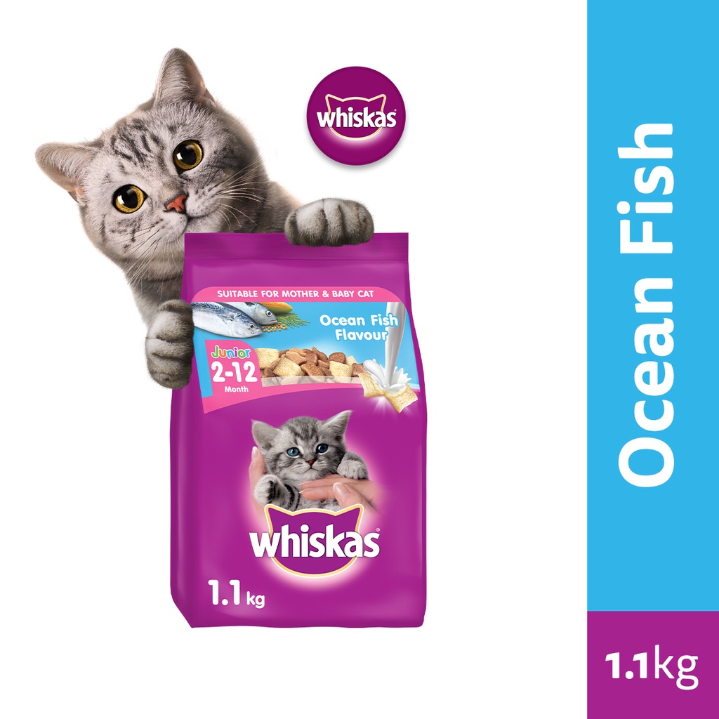 Whiskas Junior Ocean Fish Flavor with Milk Kitten Food Dry Cat Food for