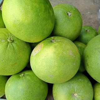 Beli Buah Pada Harga Borong Di Mbg Fruits Hub Selayang